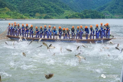 太冤了 水产养殖污染仅占水污染0.03 一定要科学认识水产养殖业与水环境污染