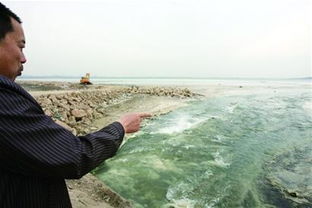 胶州湾海产减产严重 近海已难形成鱼汛