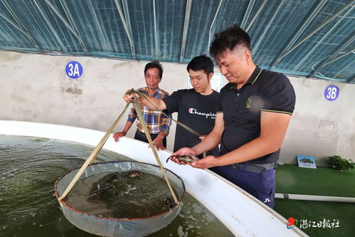 湛江人在新疆成功实现海水养殖