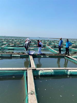 济源水产养殖损失价值评估