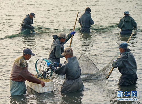 河北滦南 工厂化水产养殖助增收