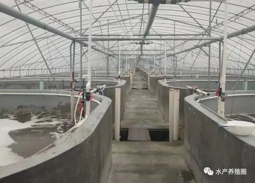 规模化水产养殖,怎么进行水处理比较好