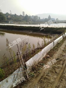 湖州长兴县100亩水产养殖用地转让