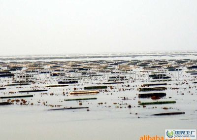 石首市五湖集团_世界工厂网全球企业库