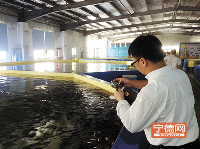 “两轮”齐驱跨越崛起_宁德网