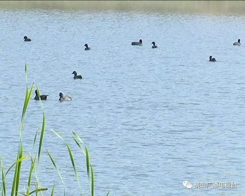 市水产站调研我区水产养殖工作