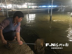 福州将推广水产养殖全产业链闭合循环模式