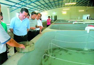 广东汕头建成首座水循环“鱼工厂”-养殖综合- 中国水产门户网 - 最具影响力的水产网站