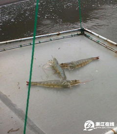 打印新闻