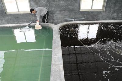 “渤海1号”实现滨州对虾本地造!鲁北最大水产基地显雏形