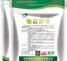 高清图片