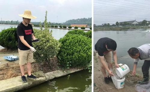 浙江省淡水水产所科技人员赴绍兴及杭州开展水产养殖重大及新发疫病流行病学监测工作