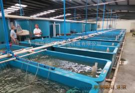 甲醛检测仪 甲醛分析仪图片