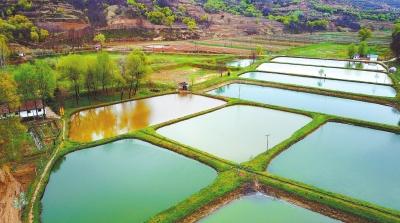 正宁县四郎河川水产养殖区
