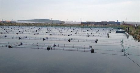 厂家优供养殖网箱,各类网箱,养殖扇贝、海参等水产