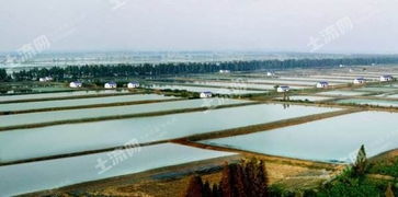 江苏南通20000亩水产养殖用地出租