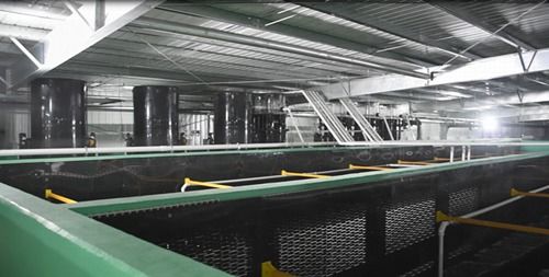 国际海鲜养殖大户纷纷 登陆 ,海璟水产引领行业变革
