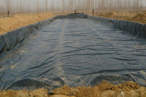 广西hdpe土工膜哪家安全,水产养殖土工膜厂商电话