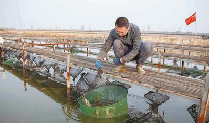 【市媒报道】向“深”而行 开辟农产品加工业新赛道