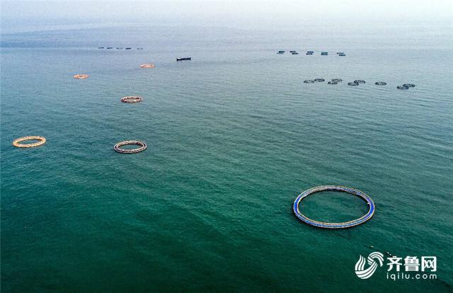 寻渔记海洋咨询丨农业农村部:五大行动推进水产养殖业绿色发.