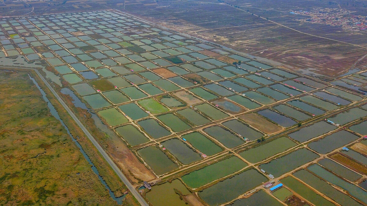 水产养殖基地