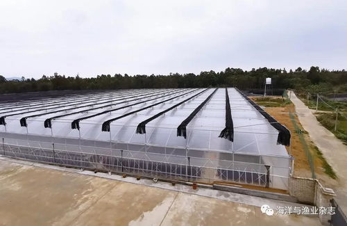 南海水产研究所研究员张家松 贡献符合时代需求的水产养殖方案