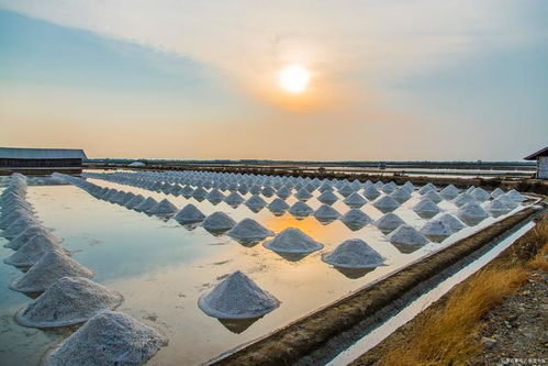 水产养殖风口来袭,第一龙头大基金青睐,8月有望5至10倍上涨