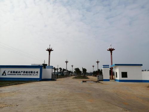 顺德扶贫 产业扶贫造新血 恬神村迈进脱贫 幸福门