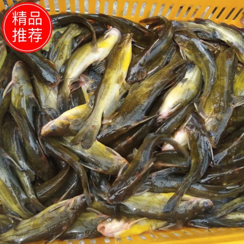 永丰水产养殖场