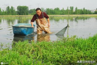 投资水产养殖,这些风险你得规避