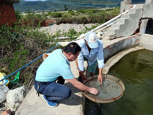 南海所专家助力三亚水产养殖复产稳产