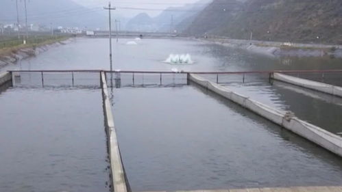 六枝 水产养殖效益好,拓宽特色农业发展路