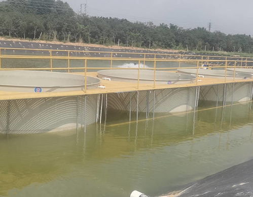 连续暴雨天气,水产养殖户如何管理好池塘水质