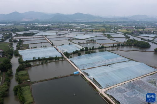 浙江湖州 水产养殖育苗忙