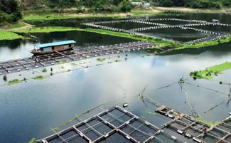 浙江省水产养殖污染防治规范 来了 哪些地方禁养,如何限养都有说明