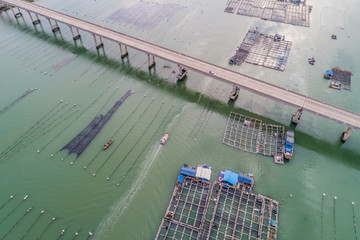 水产养殖,网箱养鱼