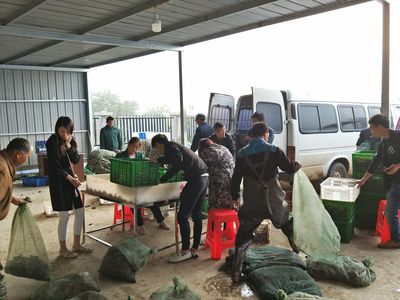 阳新一单位入选国家级水产健康养殖和生态养殖示范区