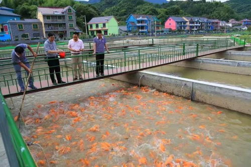 渔业转型促治水 生态高效展新颜