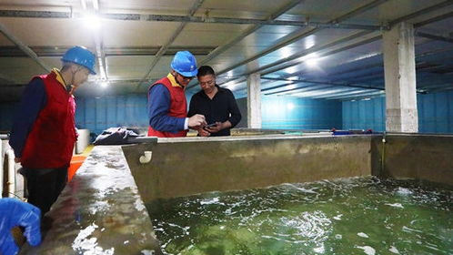 浙江舟山 海岛水产养殖的 科技范儿