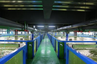 国家补贴行业 国家支持!数字农业和农村建设项目补贴大全,涉及农业全产业链项目