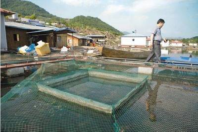 从1000户网箱缩减到20户,您看懂形势了吗?浙江水产未来在哪?