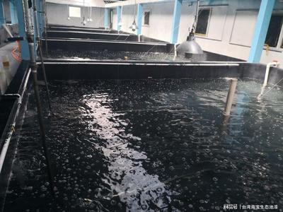 工厂化水产养殖是什么?