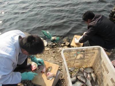 安徽滁州市水产站完成全市第三次水产品质量安全例行抽检_水产快讯(业界动态)_中国水产养殖网