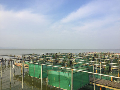 上海豫园古建筑,上海老饭店