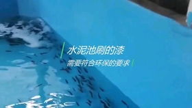 工厂化高密度水产养殖,铁仓刀刮布高位池投放鱼苗,喜欢的关注