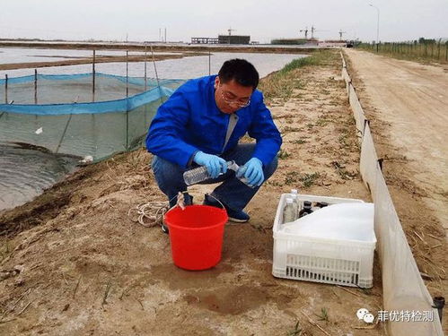 你负责水产养殖,我们负责病害检测 菲优特降低各类水产养殖风险