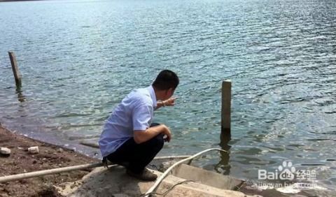 在水产养殖中,如何进行疾病的预防