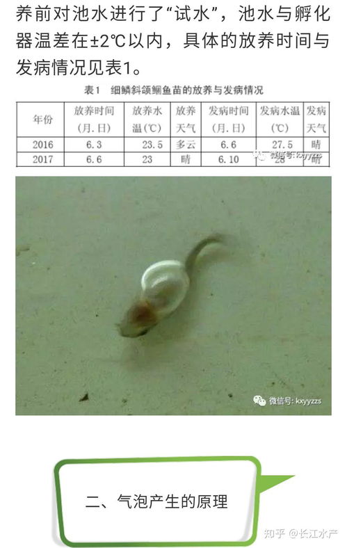 工厂化循环水水产养殖