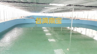工厂化水产养殖及水泥池涂刷水产养殖漆的作用