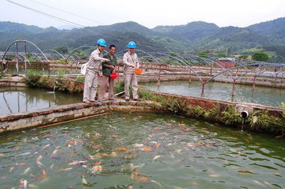 福建建瓯供电公司架专线助水产养殖户增收致富_水产快讯(水产养殖)_中国水产养殖网